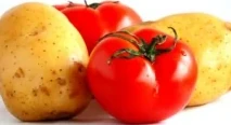 Recette  de Salade  pommes de terre, tomates et mozzarella